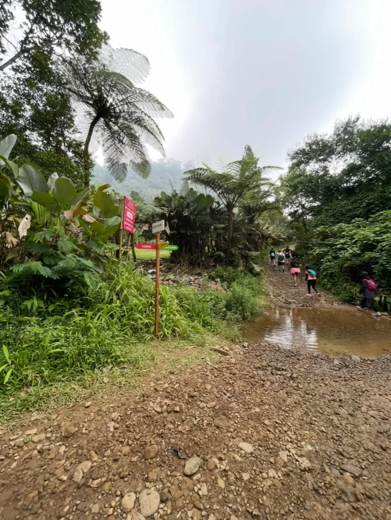 Genangan air di jalur trekking Cisadon sebelum hujan deras