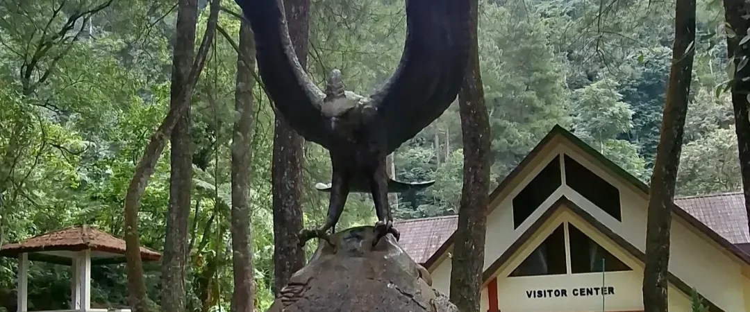 Suaka Elang Loji: Elang, Hutan, dan Curug di Akhir Perjalanan 