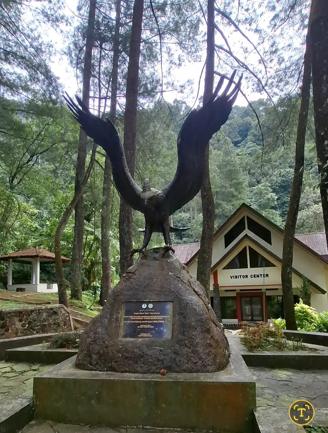 Suaka Elang Loji: Elang, Hutan, dan Curug di Akhir Perjalanan 